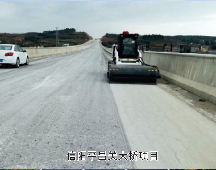 信陽平昌關大橋項目